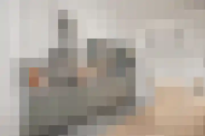 Kromme Elleboogsteeg 14 Haarlem thumbnail 11
