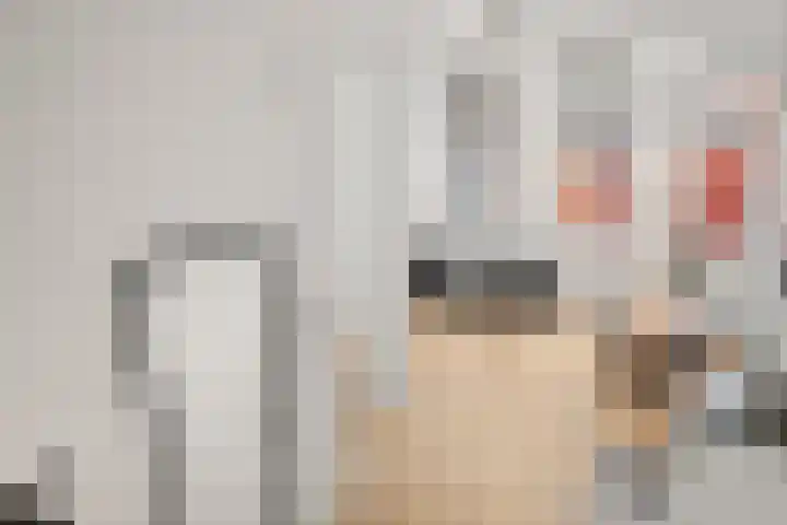 Kromme Elleboogsteeg 14 Haarlem thumbnail 12