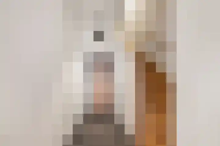 Kromme Elleboogsteeg 14 Haarlem thumbnail 22