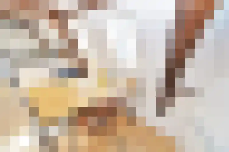 Kromme Elleboogsteeg 2 a Weesp thumbnail 10
