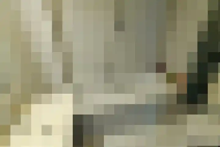 Kromme Elleboogsteeg 36 1 Arnhem thumbnail 29
