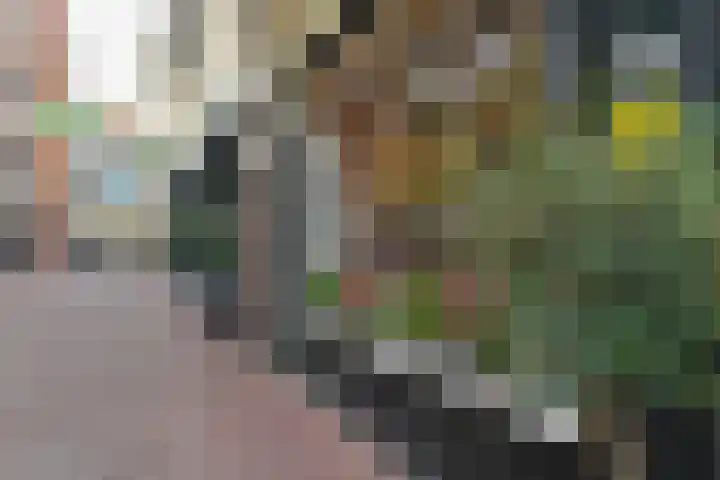 Kromme Elleboogsteeg 36 1 Arnhem thumbnail 31