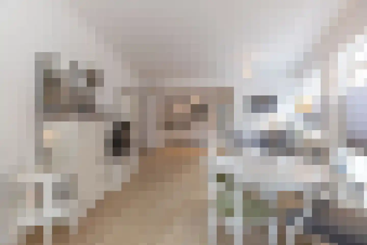 Kromme Elleboogsteeg 6 Weesp thumbnail 10