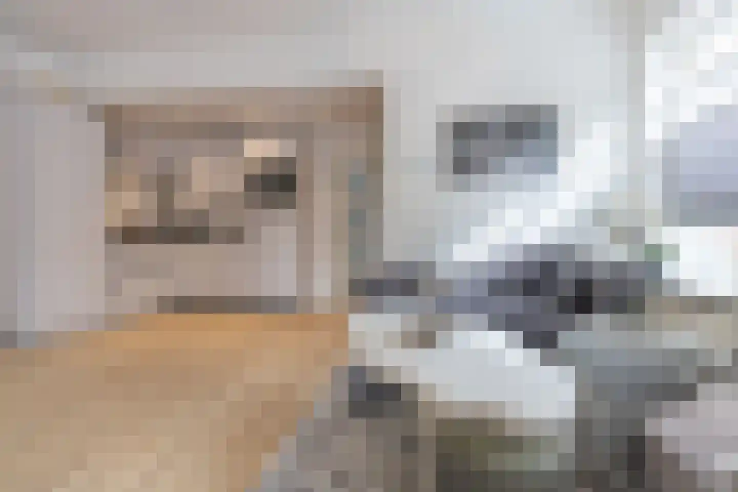 Kromme Elleboogsteeg 6 Weesp thumbnail 11