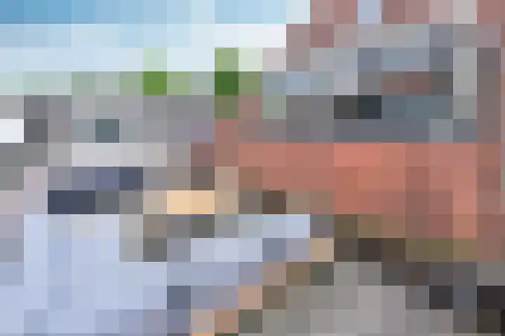 Kromme Elleboogsteeg 6 Weesp thumbnail 16