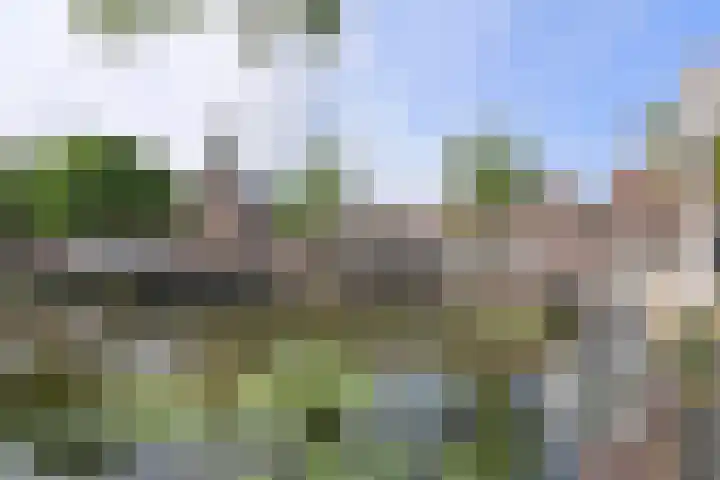 Kromme Elleboogsteeg 6 Weesp thumbnail 22