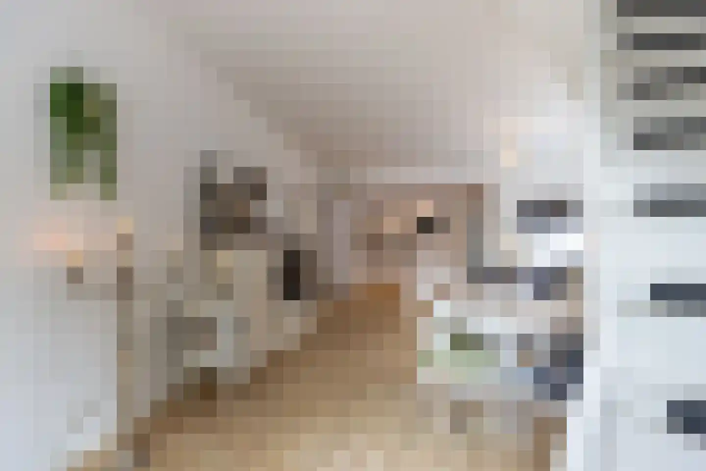 Kromme Elleboogsteeg 6 Weesp thumbnail 9