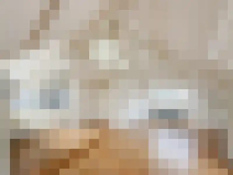 Kromme Elleboogsteeg 8 F Haarlem thumbnail 8