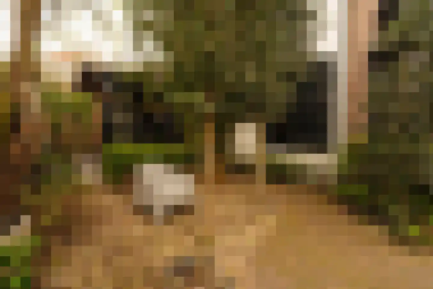 Kromme Englaan 11 Bussum thumbnail 38