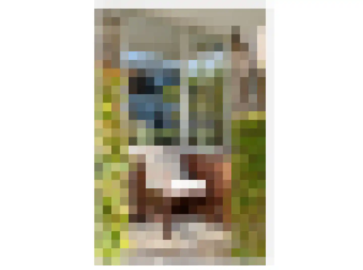Kromme Englaan 14 Bussum thumbnail 5