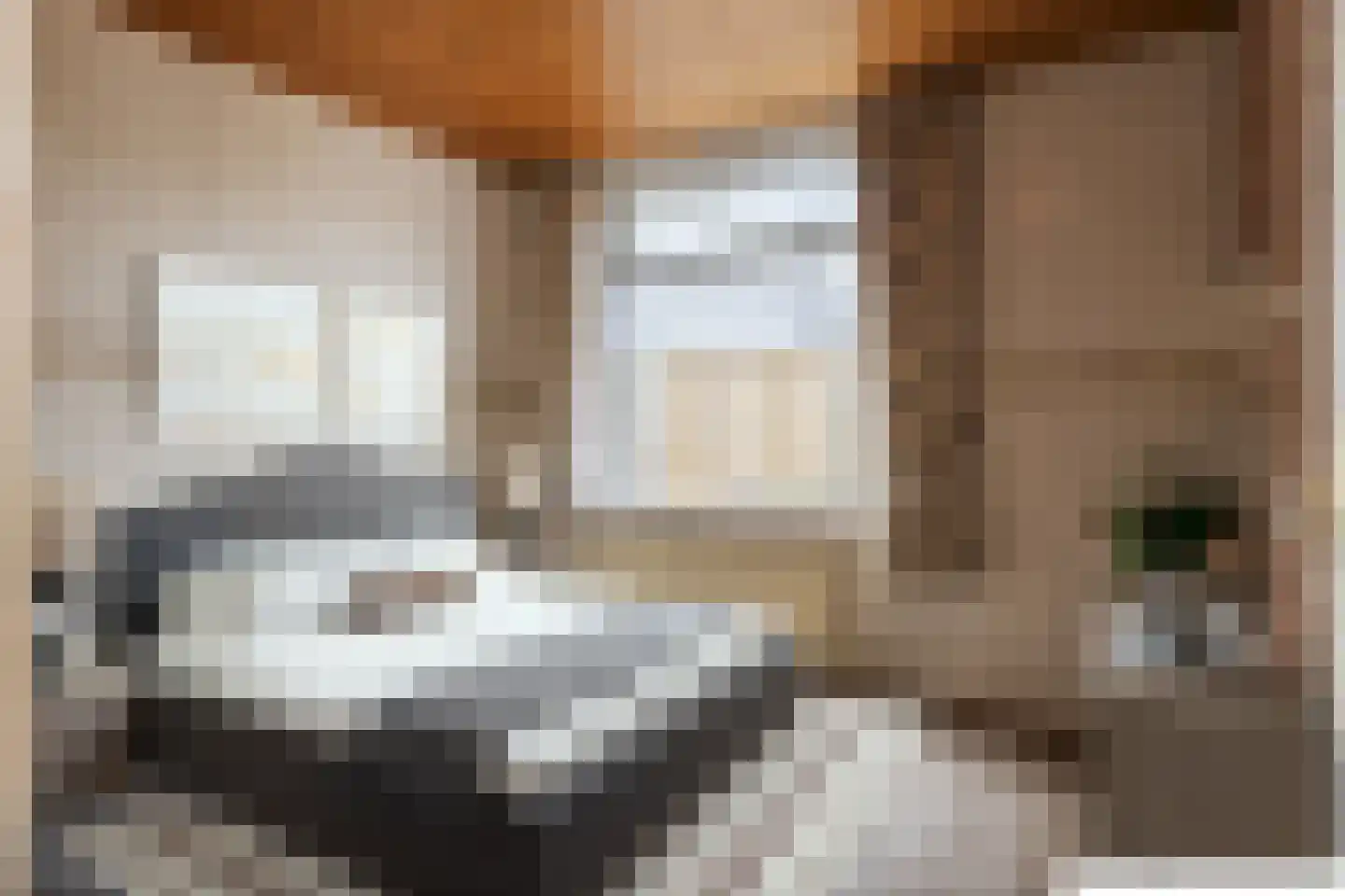 Kromme Gat 8 Hardinxveld-Giessendam thumbnail 12
