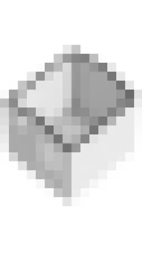 Kromme Gat 8 Hardinxveld-Giessendam thumbnail 30