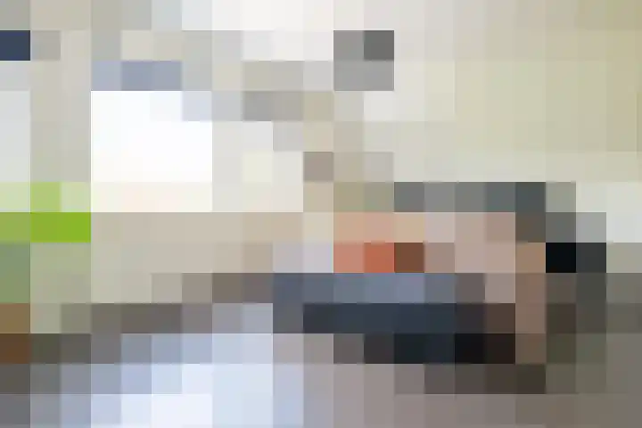 Kromme Giessen 10 Hoornaar thumbnail 13