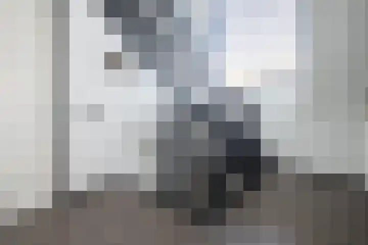 Kromme Giessen 10 Hoornaar thumbnail 20
