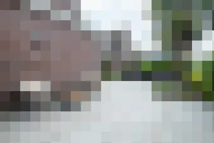 Kromme Giessen 10 Hoornaar thumbnail 23