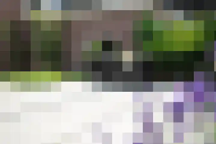 Kromme Giessen 10 Hoornaar thumbnail 24