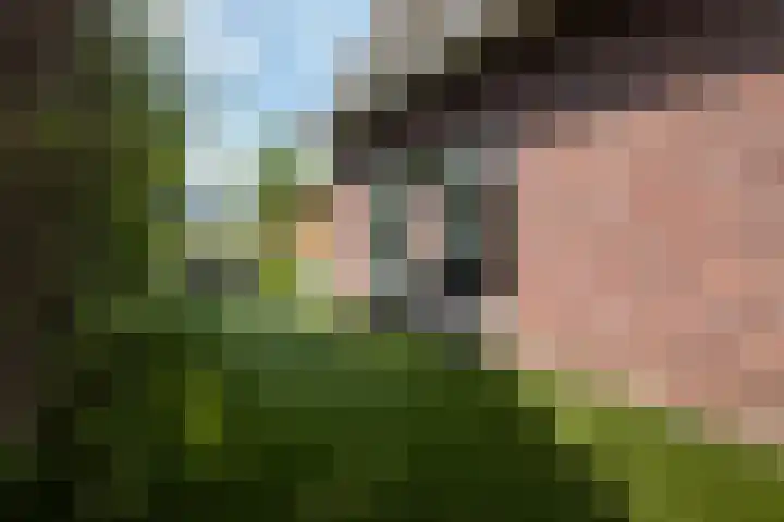 Kromme Giessen 10 Hoornaar thumbnail 25