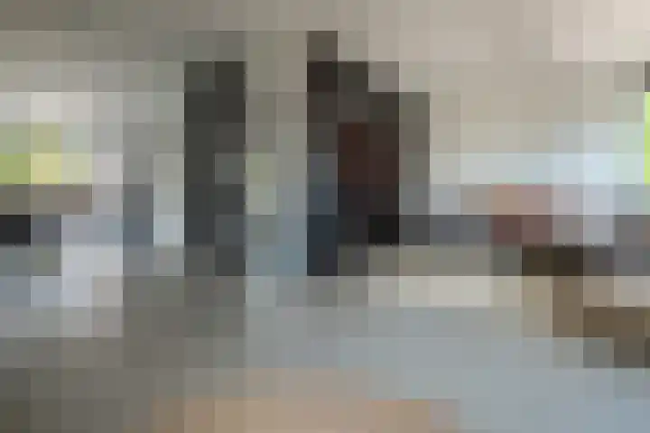 Kromme Giessen 10 Hoornaar thumbnail 4