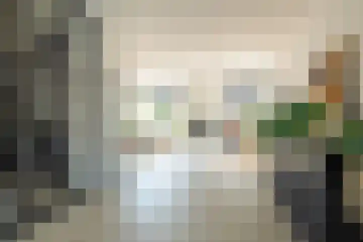 Kromme Giessen 10 Hoornaar thumbnail 5