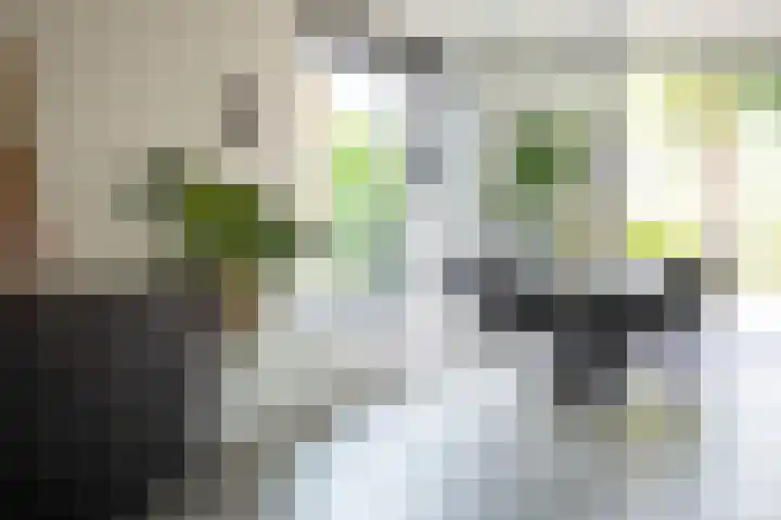 Kromme Giessen 10 Hoornaar thumbnail 7