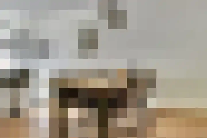 Kromme Giessen 4 Hoornaar thumbnail 10