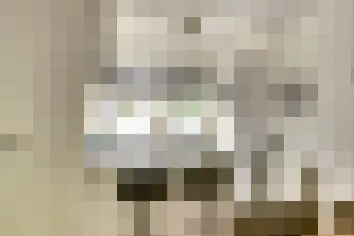 Kromme Giessen 4 Hoornaar thumbnail 12