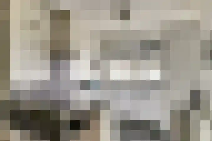 Kromme Giessen 4 Hoornaar thumbnail 13