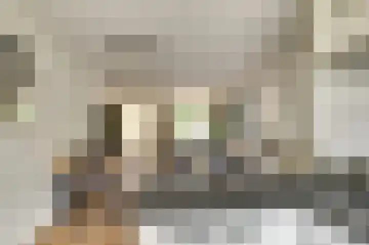 Kromme Giessen 4 Hoornaar thumbnail 14