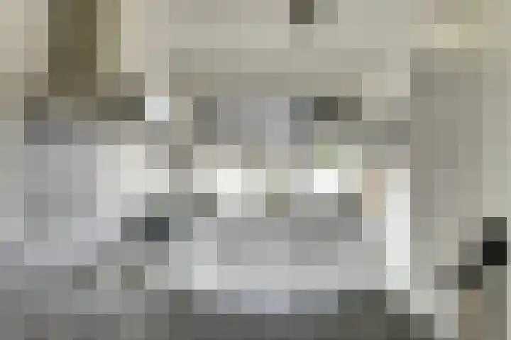 Kromme Giessen 4 Hoornaar thumbnail 15