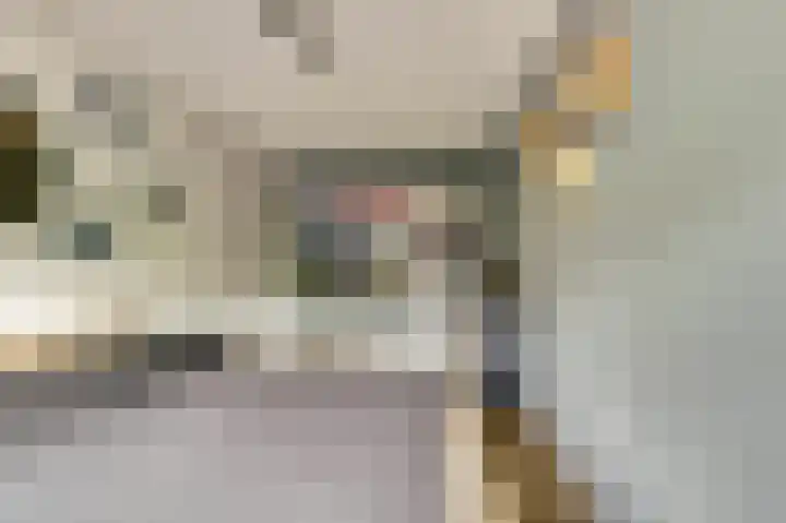 Kromme Giessen 4 Hoornaar thumbnail 19