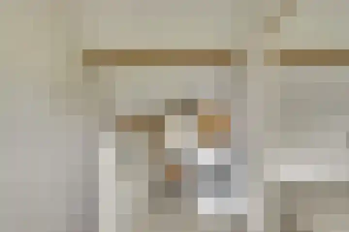 Kromme Giessen 4 Hoornaar thumbnail 27