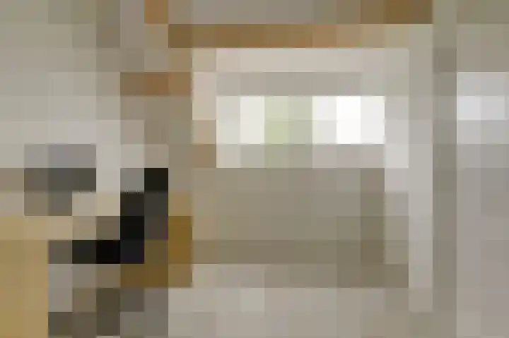 Kromme Giessen 4 Hoornaar thumbnail 31