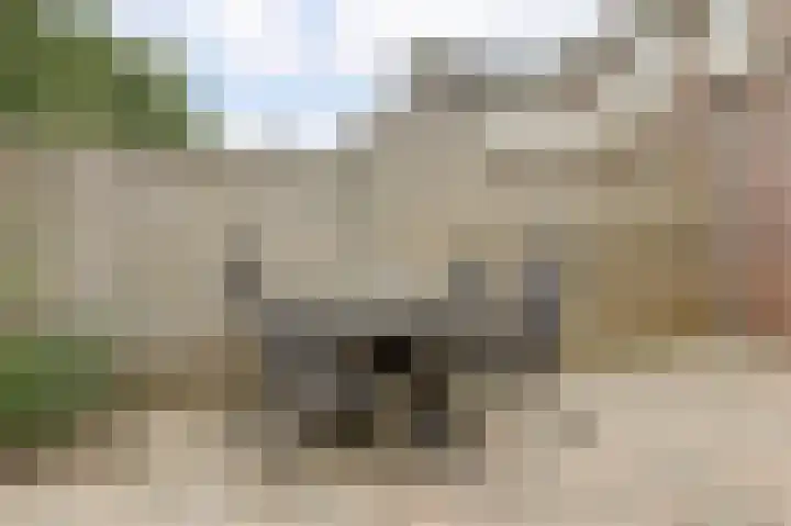 Kromme Giessen 4 Hoornaar thumbnail 34