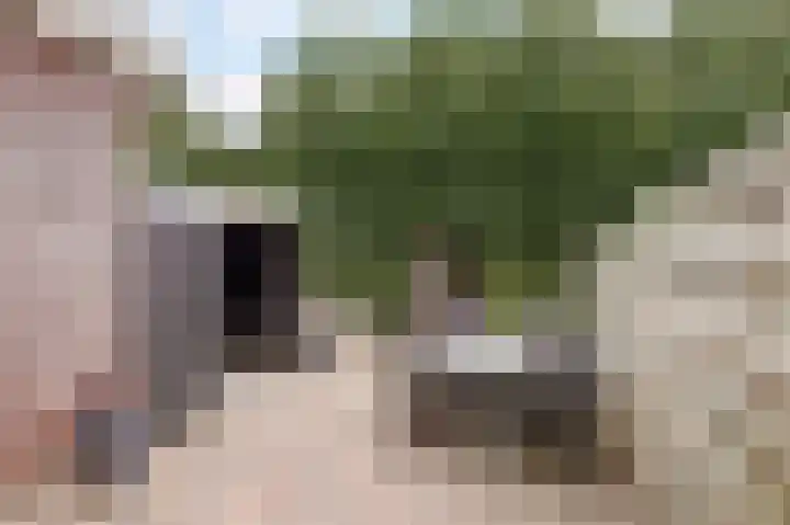 Kromme Giessen 4 Hoornaar thumbnail 35