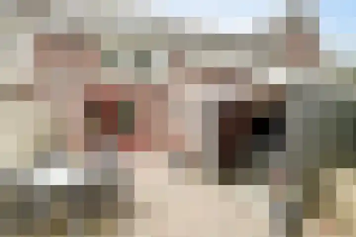 Kromme Giessen 4 Hoornaar thumbnail 37