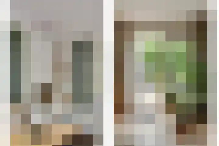 Kromme Giessen 4 Hoornaar thumbnail 8