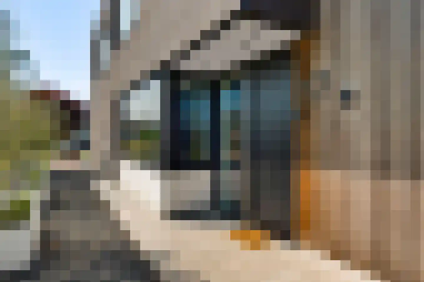 Kromme Haagdijk 17 Helmond thumbnail 8
