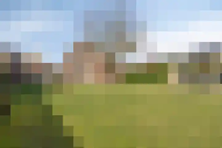 Kromme Haagdijk 32 Helmond thumbnail 31