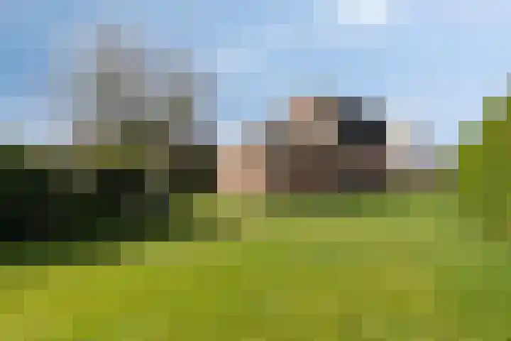 Kromme Haagdijk 32 Helmond thumbnail 32