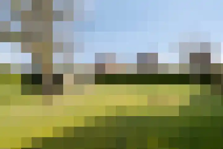 Kromme Haagdijk 32 Helmond thumbnail 33