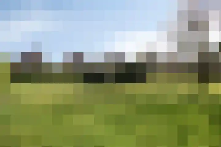 Kromme Haagdijk 32 Helmond thumbnail 34