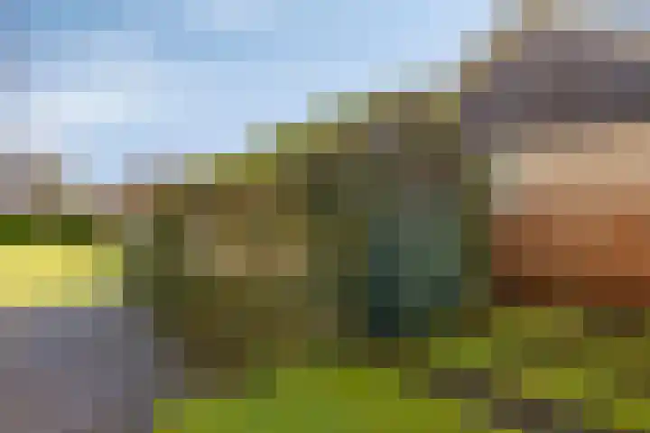 Kromme Haagdijk 32 Helmond thumbnail 37