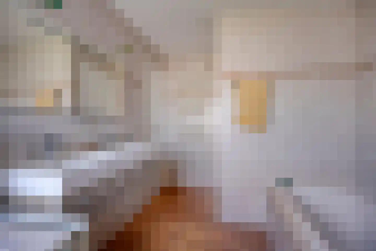 Kromme Haagdijk 66 Helmond thumbnail 37