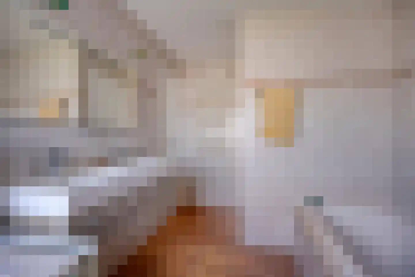 Kromme Haagdijk 66 Helmond thumbnail 38