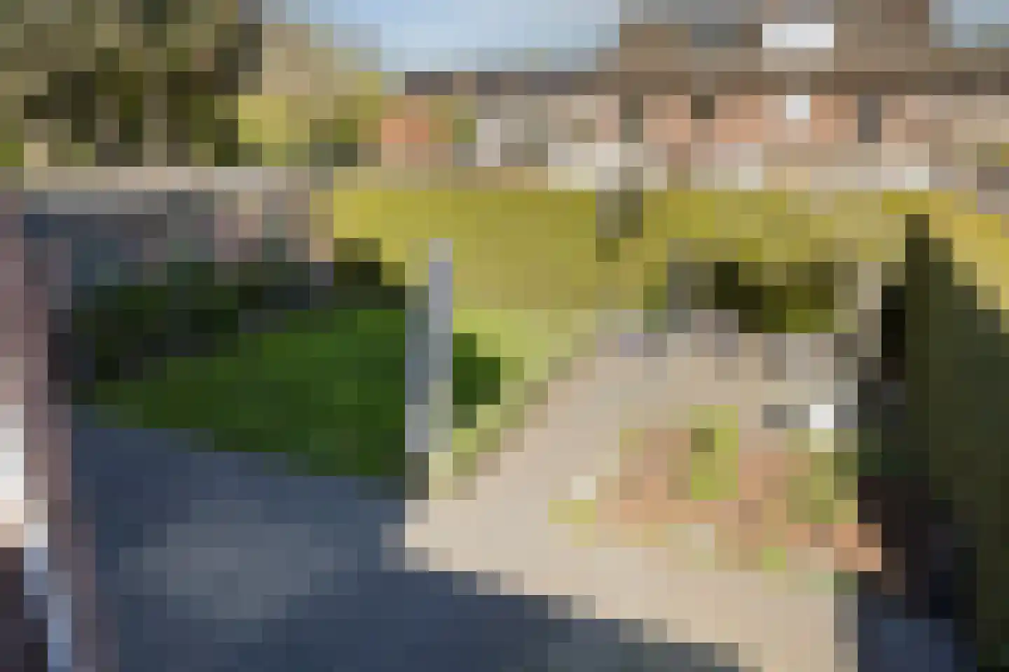 Kromme Haagdijk 66 Helmond thumbnail 4