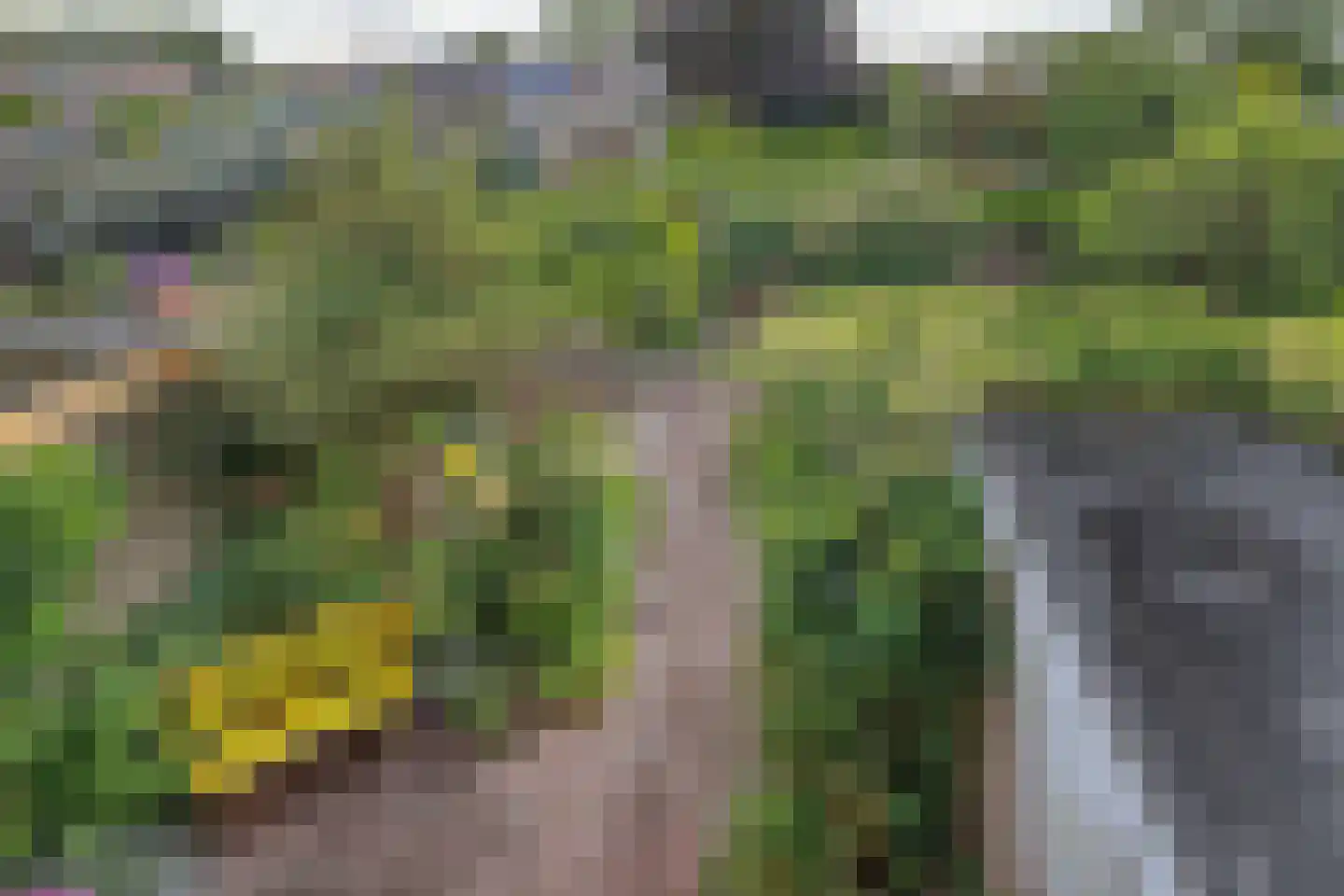 Kromme Horn 33 Graft thumbnail 37