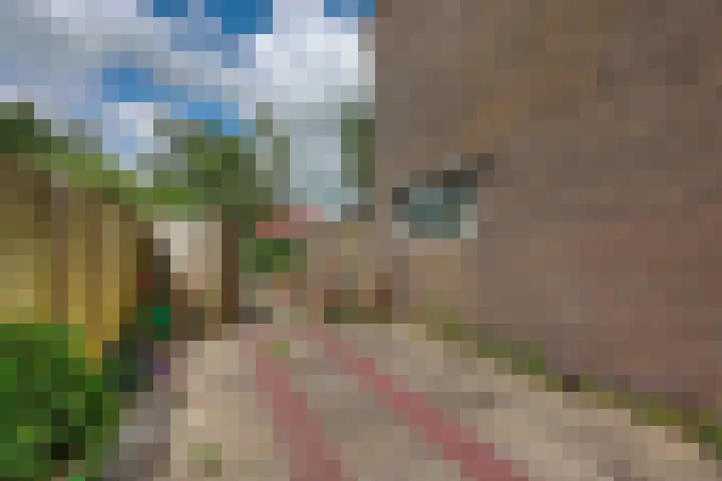 Kromme Horn 33 Graft thumbnail 42