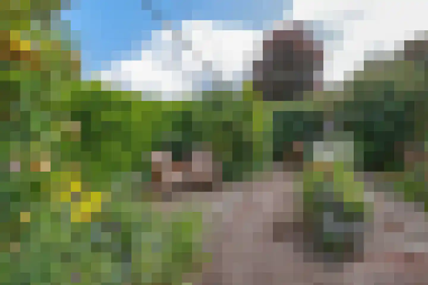 Kromme Horn 33 Graft thumbnail 48