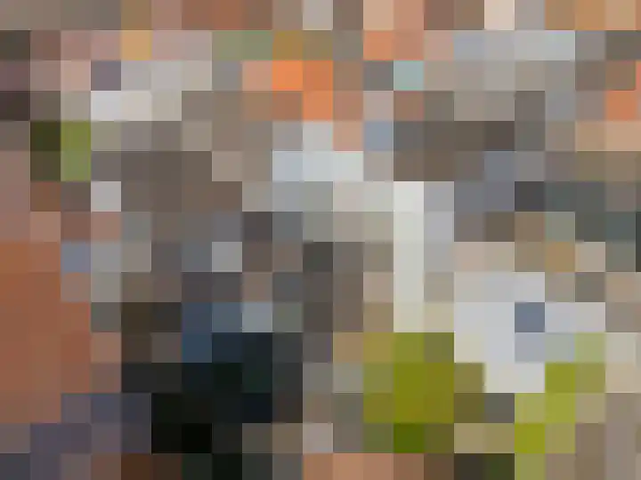 Kromme Jak 12 A Zwolle thumbnail 13