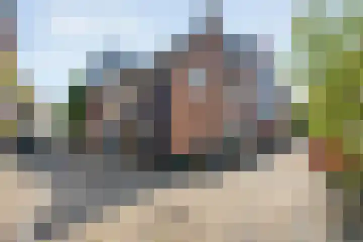 Kromme Jak 12 A Zwolle thumbnail 14